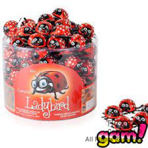 GOLO BOMBOM CHOCOLATE LADY BIRD X 100 UNIDADES (de 8grms c/u)